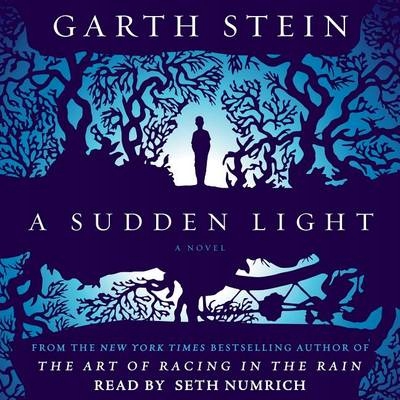 Sudden Light - Stein, Garth AUDIOBOOK Nośnik audiobook MP3
