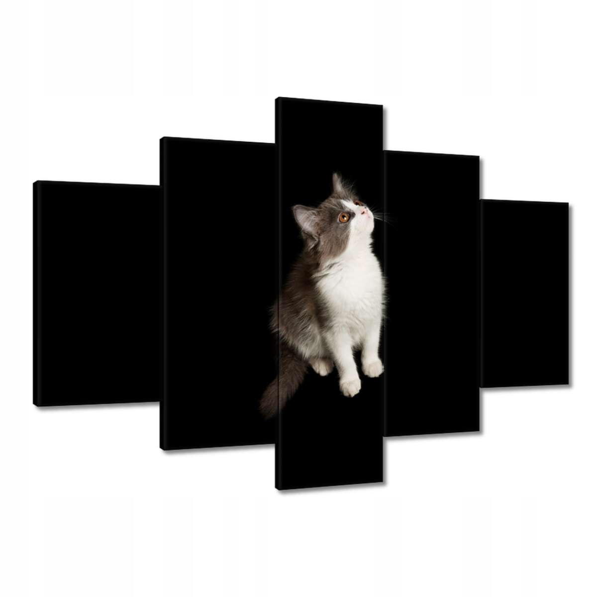 Obrazy 150x105 Roztomilé malé šedé kotě
