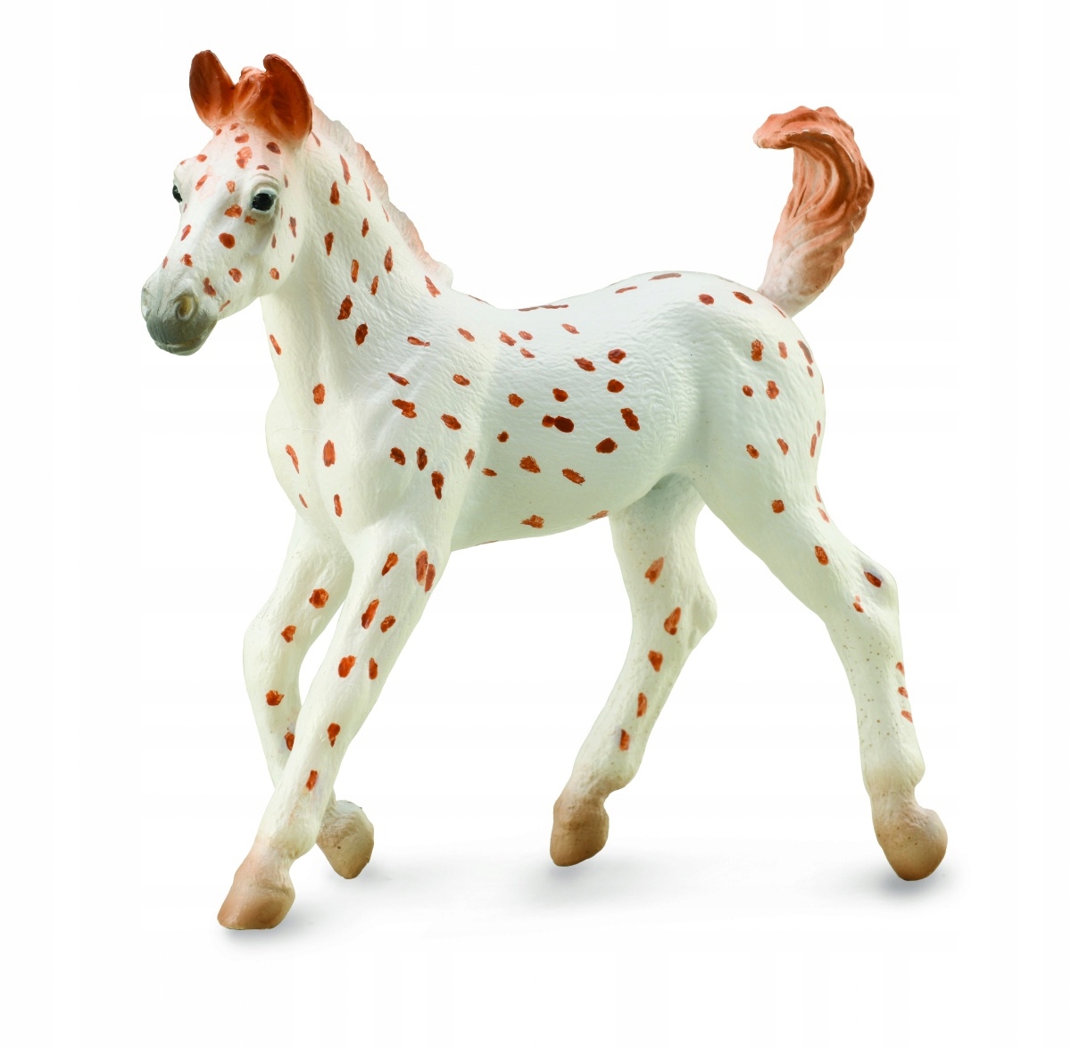 

Koń Źrebię Knabstrupper -CollectA 88848