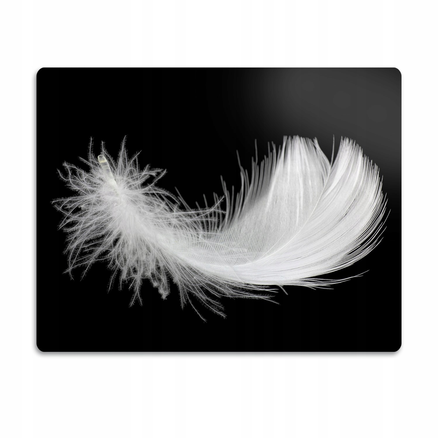 Levně Pro kočky je podložka pod záchod Bílé pero 60x40 cm