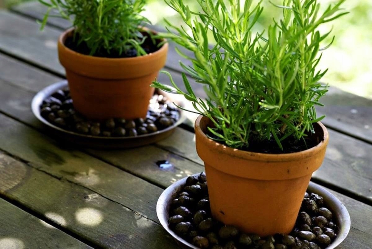 Keramzyt BIOVITA 8-16mm 5L Waga 0.9 kg