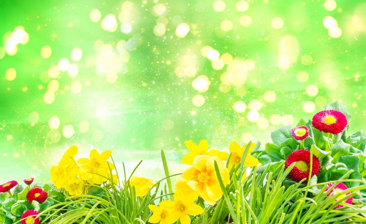 

Tapeta flizelinowa Wielkanoc Kwiaty - 416x254