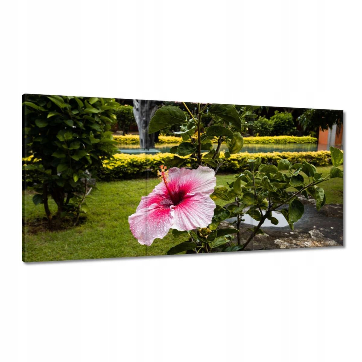 Obrazy 180x90 Kvietky Kvety Kvetinky