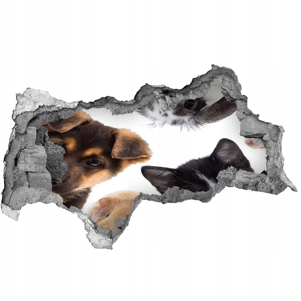

Dziura 3d fototapeta na ścianę Zwierzęta domowe