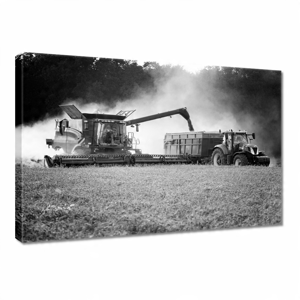 

Obraz 60x40 Kombajn Żniwa Traktor