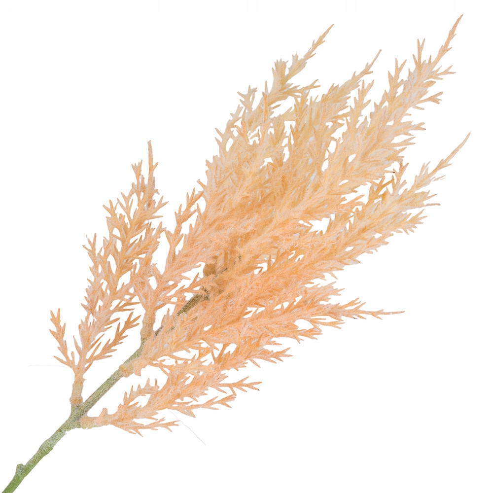 

Gałązka Trawa Pampasowa Sztuczne Kwiaty I Gałązki