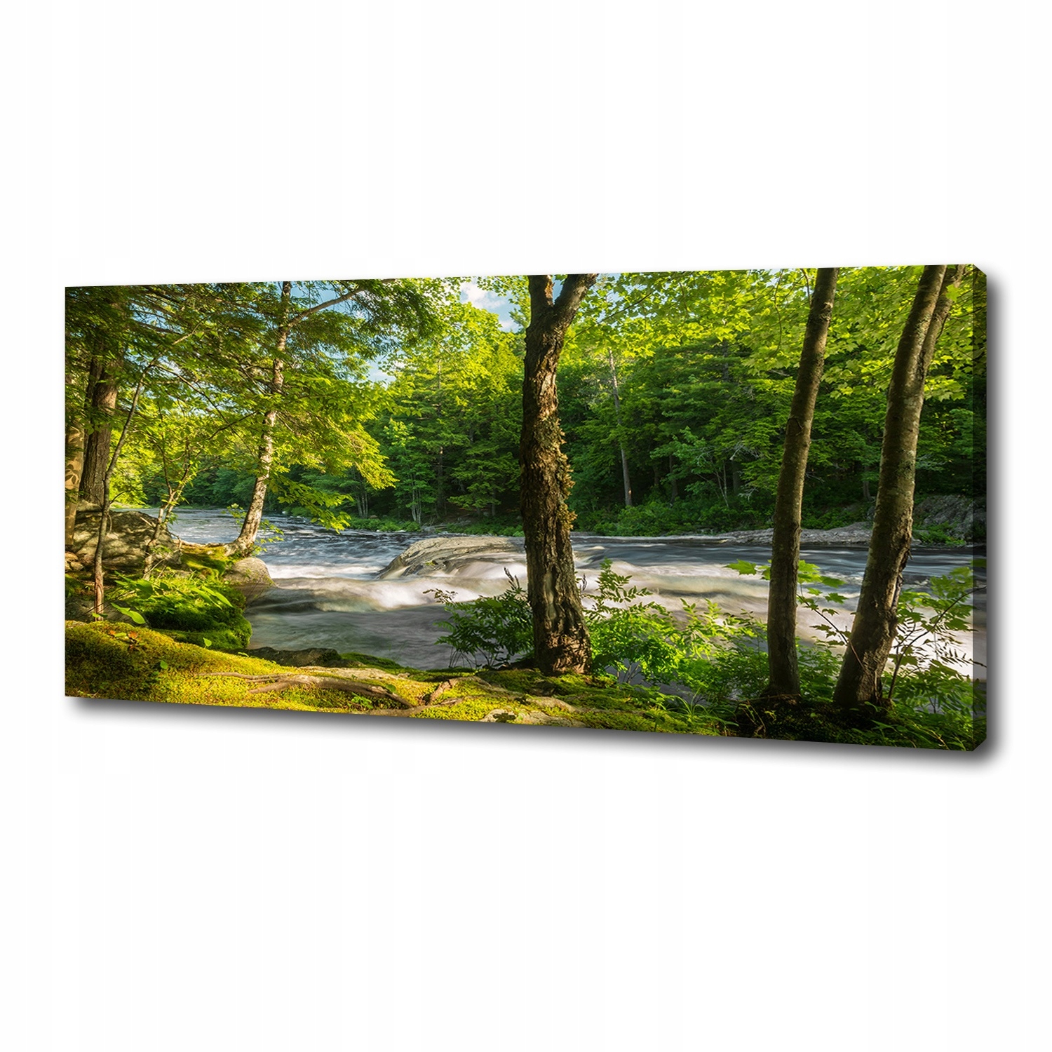 

Foto obraz na płótnie Rzeka w lesie 125x50 cm