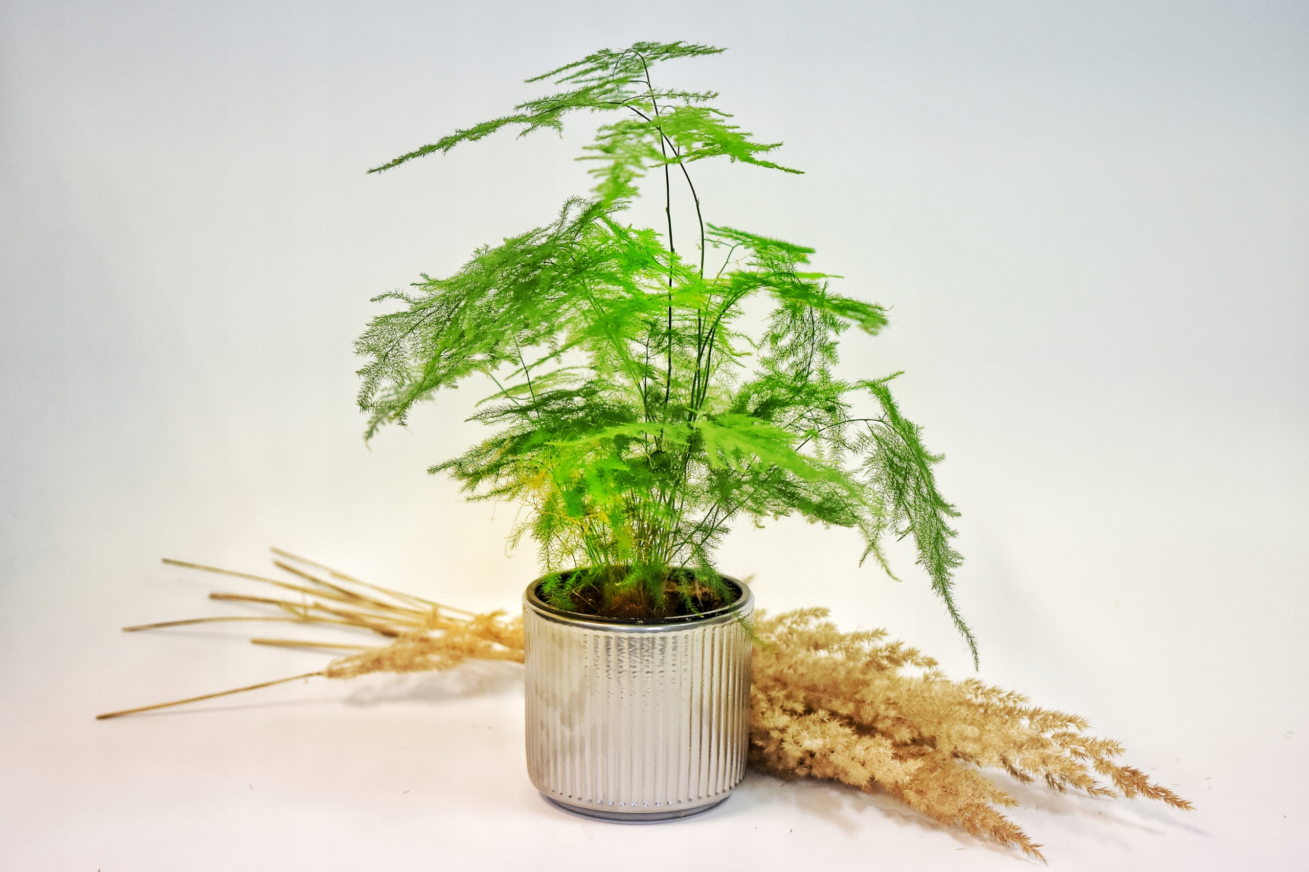 Osłonka ceramiczna Cylindryczna Rowkowana Materiał wykonania ceramika