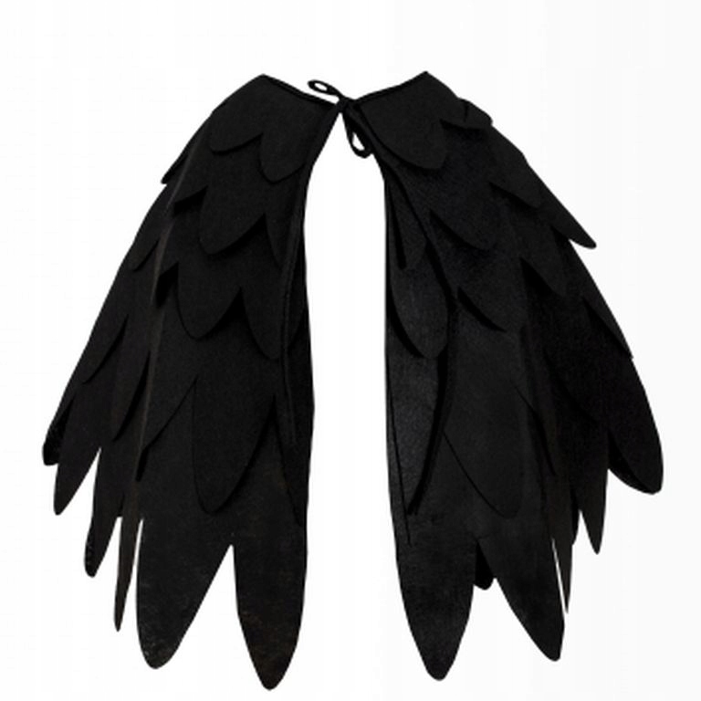 

Kruk Wrona Dzięcioł Ptak Peleryna Strój Skrzydła