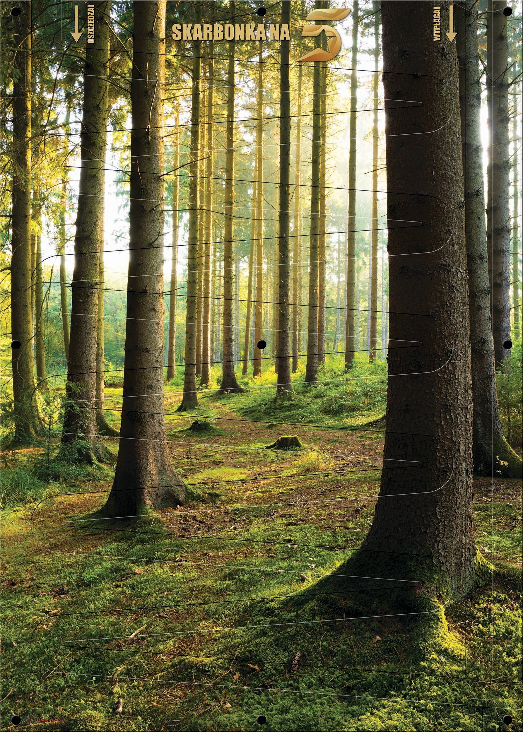 Pokladna Na Peníze 5 Pln XXL nástěnný Obraz 50x70 cm Les