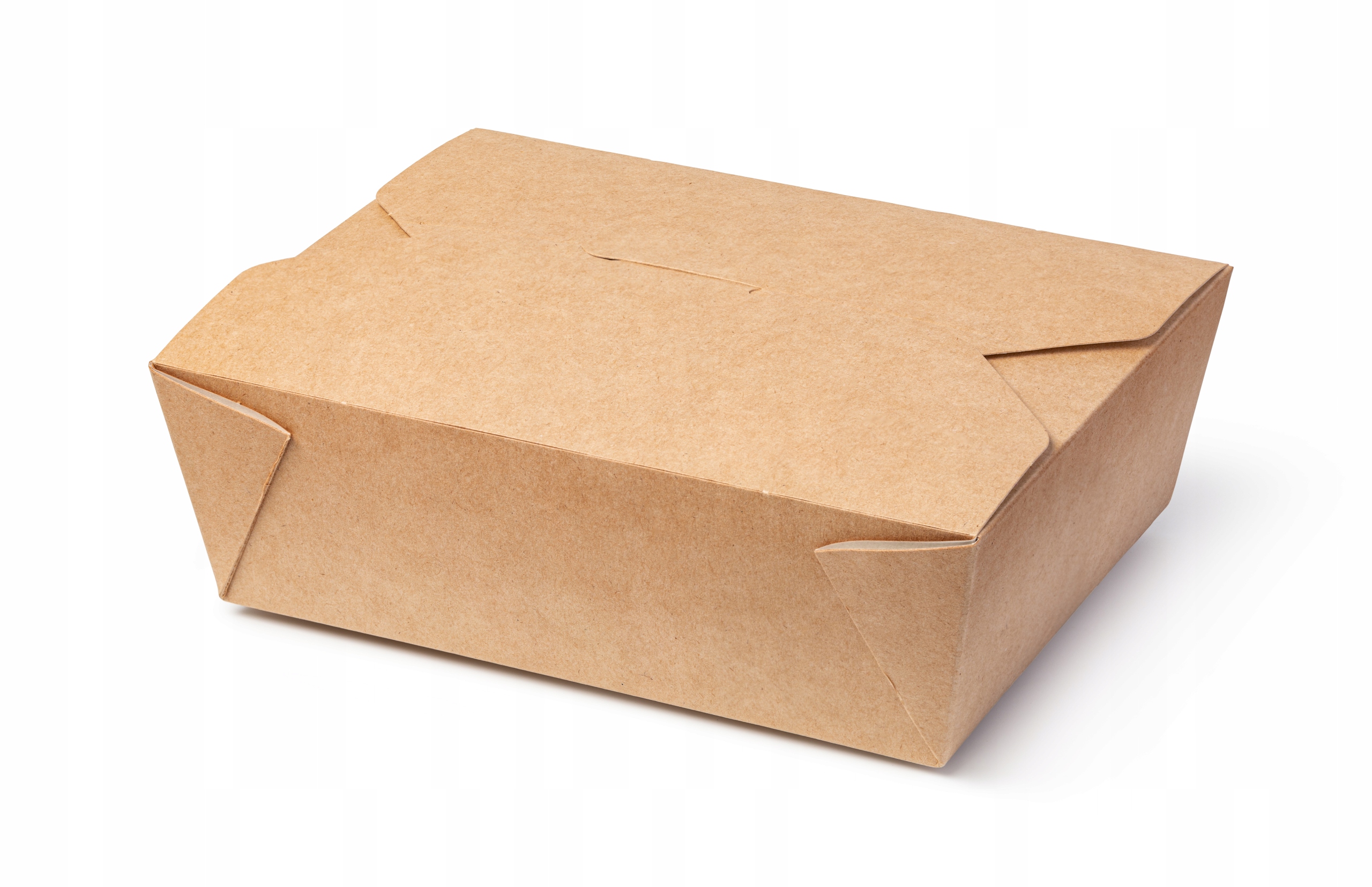 

Opakowanie, Lunchbox, Pudełko Na Wynos 1400ml