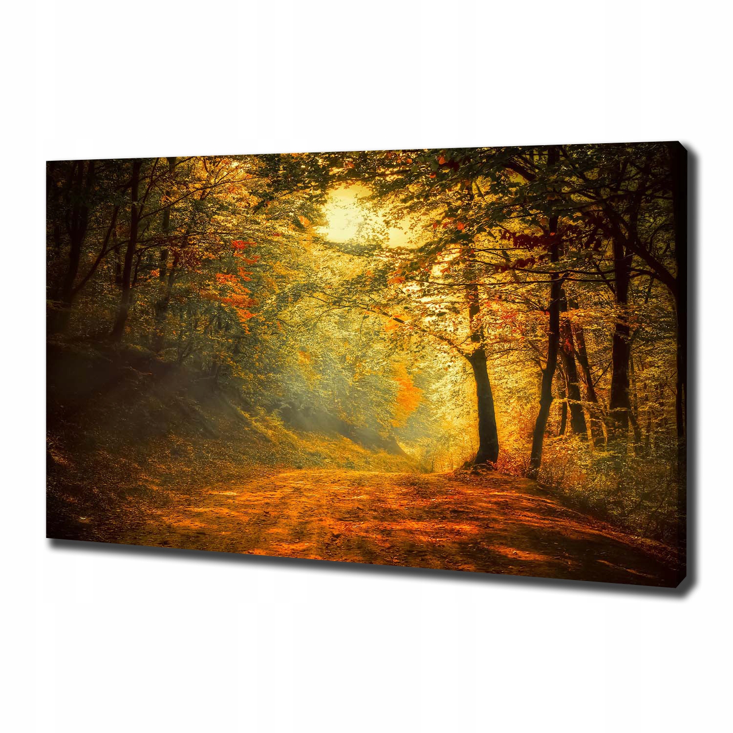 

Duży foto obraz na płótnie Las jesienią 100x70 cm