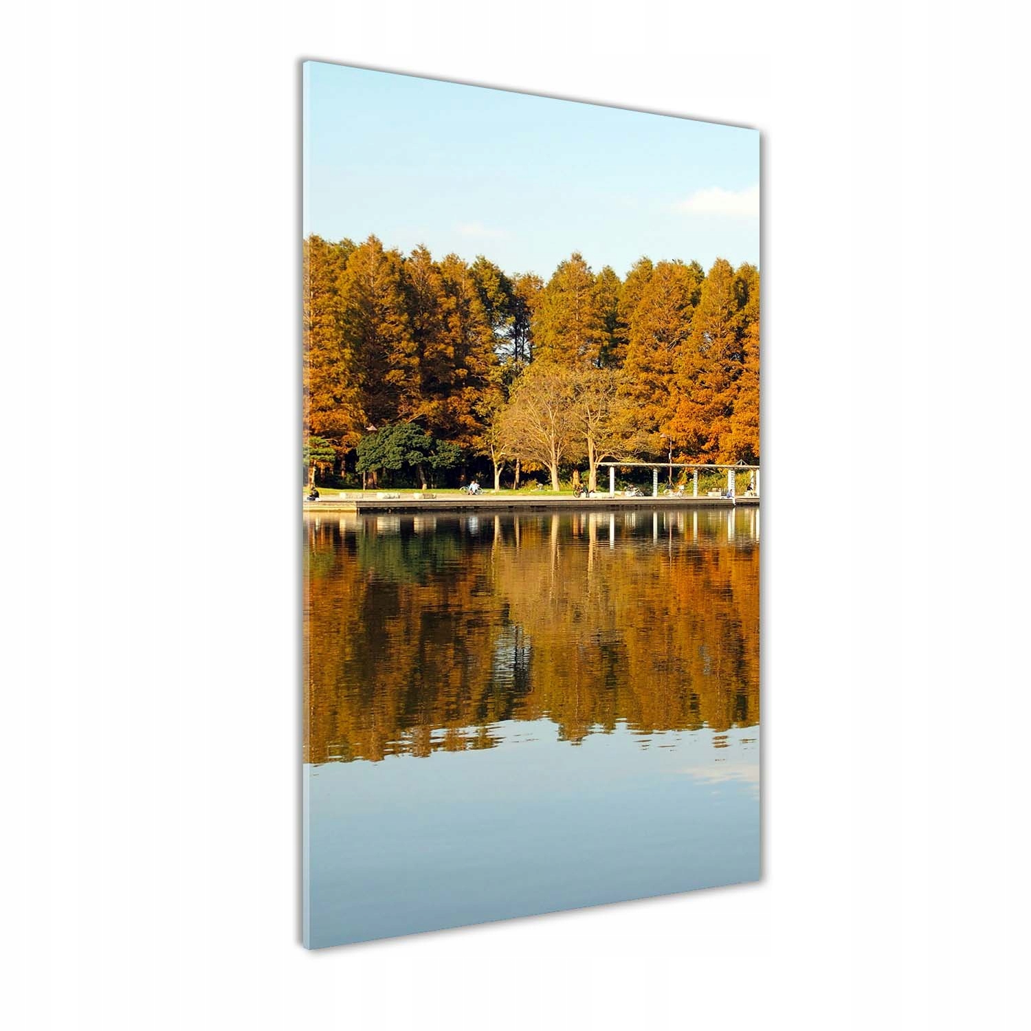 

Foto obraz szkło hartowane Park jesienią 60x120 cm