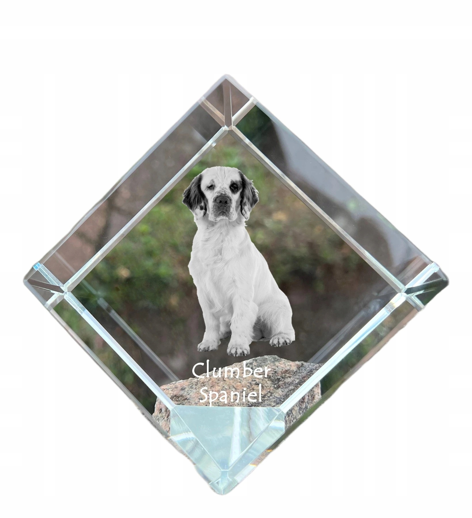 Clumber Spaniel krištáľová kocka s fotografiou psa, ozdoba na stôl