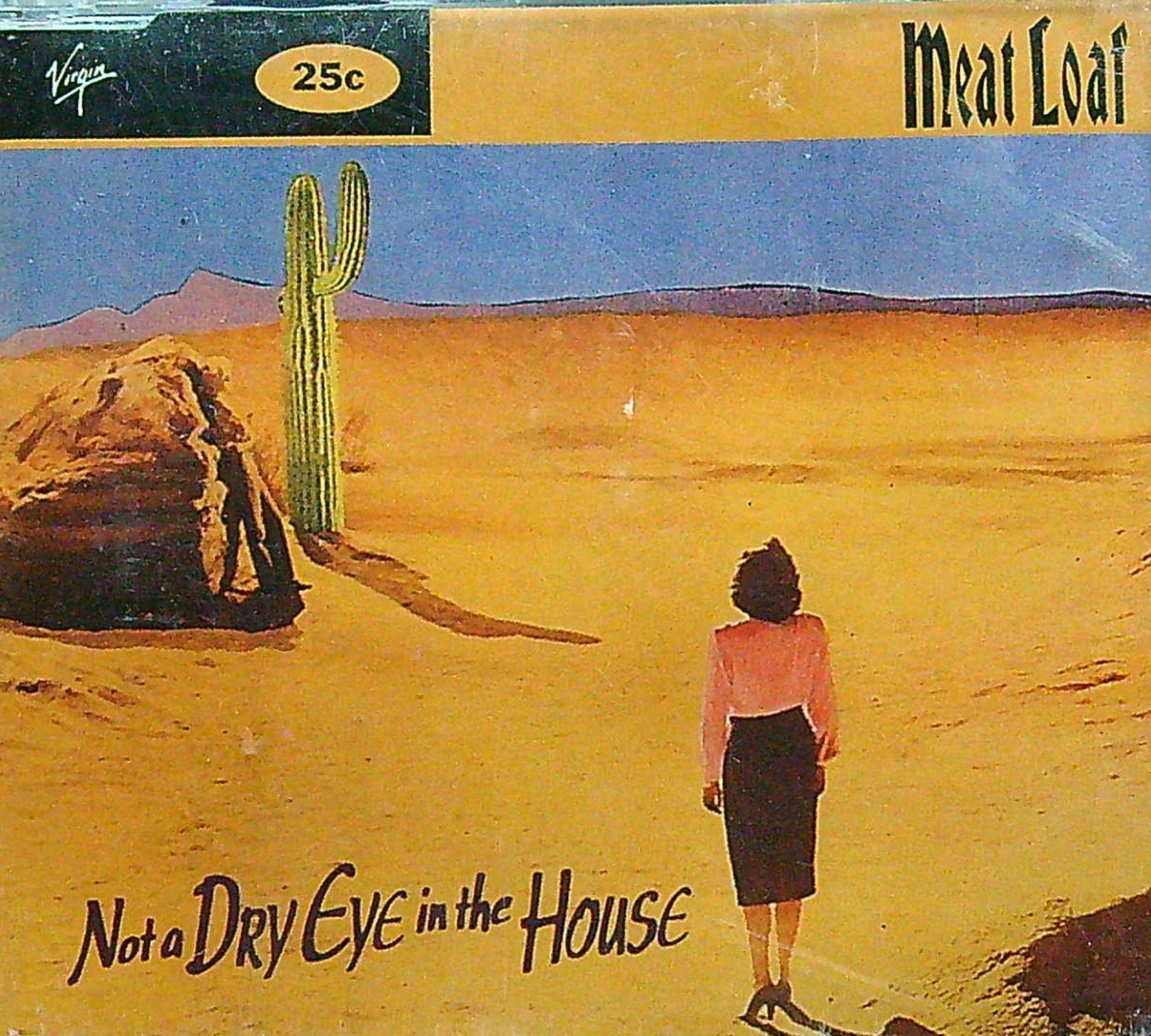 Meat Loaf Not A Dry Eye In The House 13564437690 Sklepy, Opinie