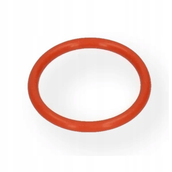 DeLonghi uszczelka zaparzacz miękka