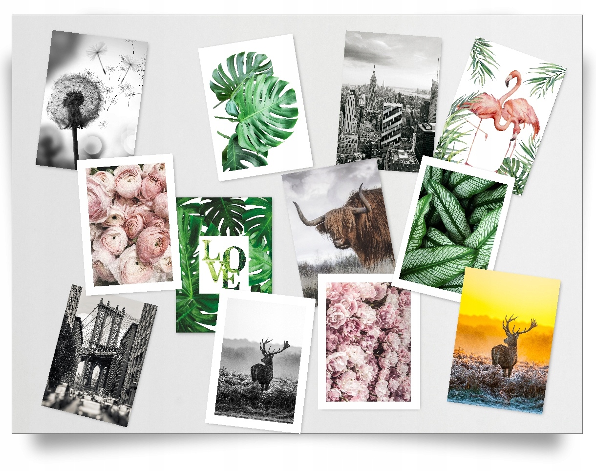 

Plakat 59,4x42cm A2 obrazek grafika obraz