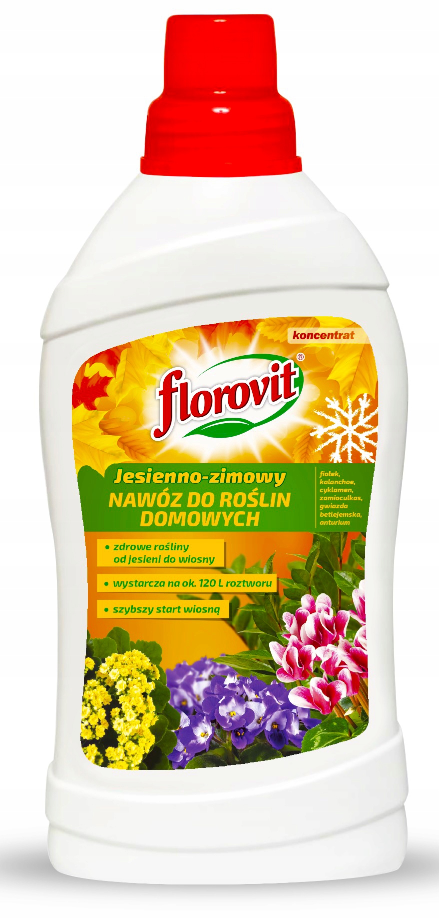 

Nawóz Jesienny Zimowy Do Roślin Bio 1L Florovit