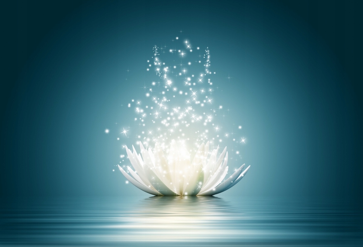 

Fototapeta Flizelinowa Kwiat lotosu - 104x70