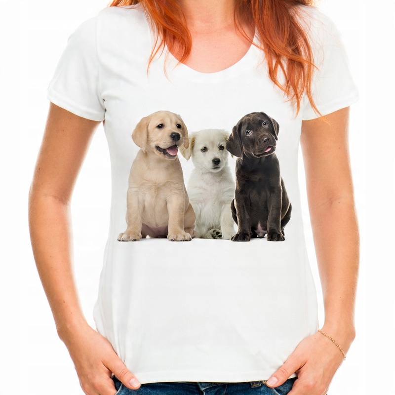 

Koszulka z psem Labradorem w psy Labradory S