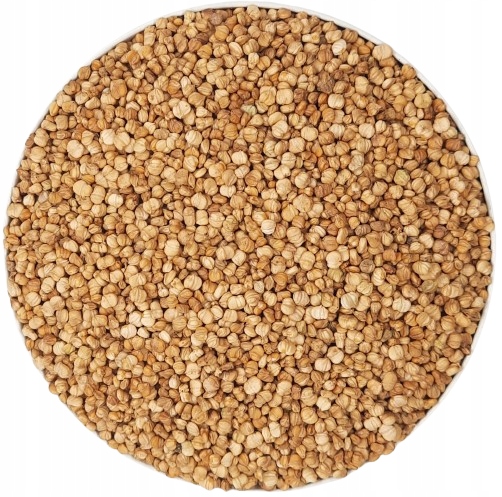 Levně Roszponka – Semínka Na Klíčky 500 g