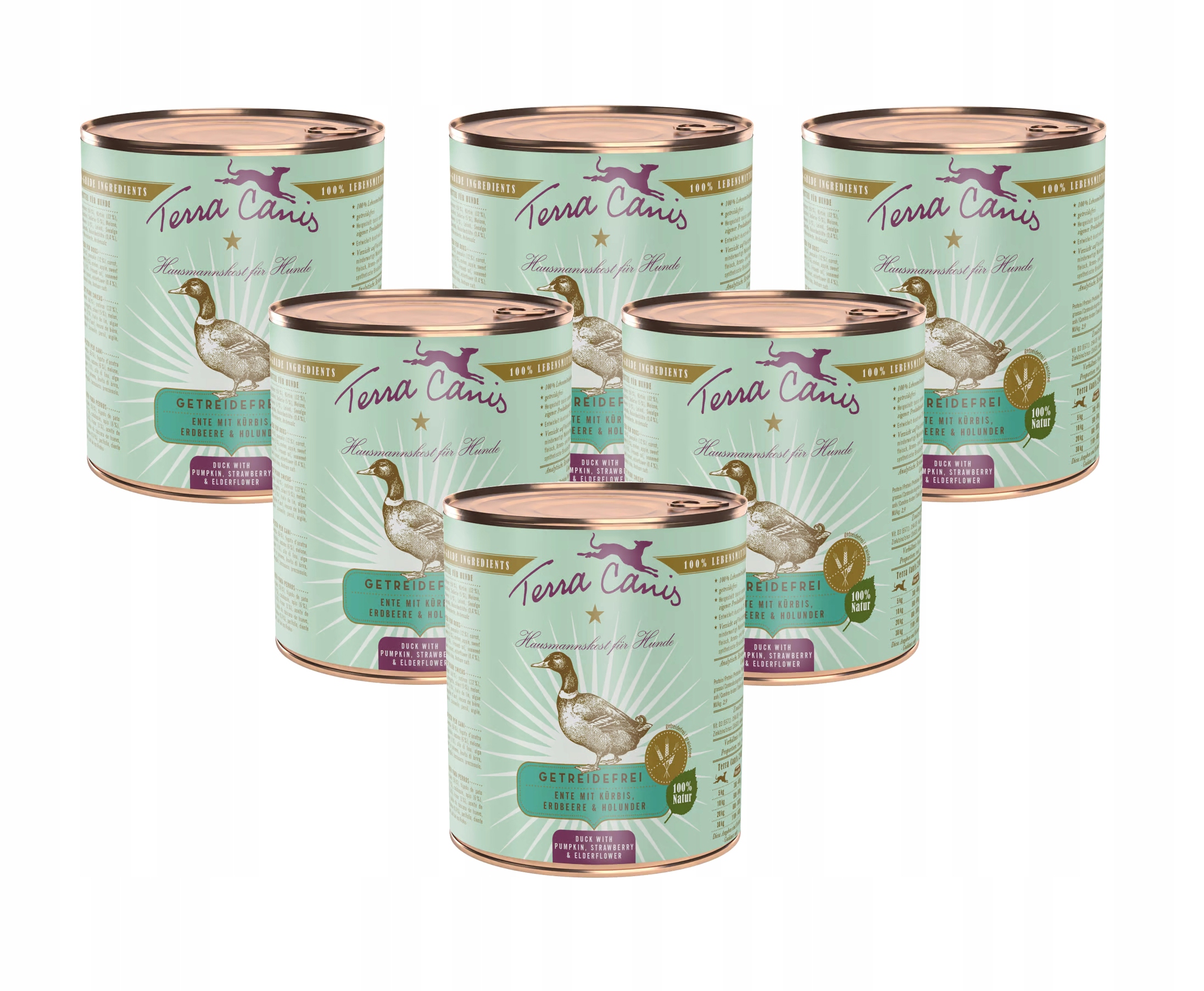 Terra Canis Kachna s dýní, jahodami 6x800 g