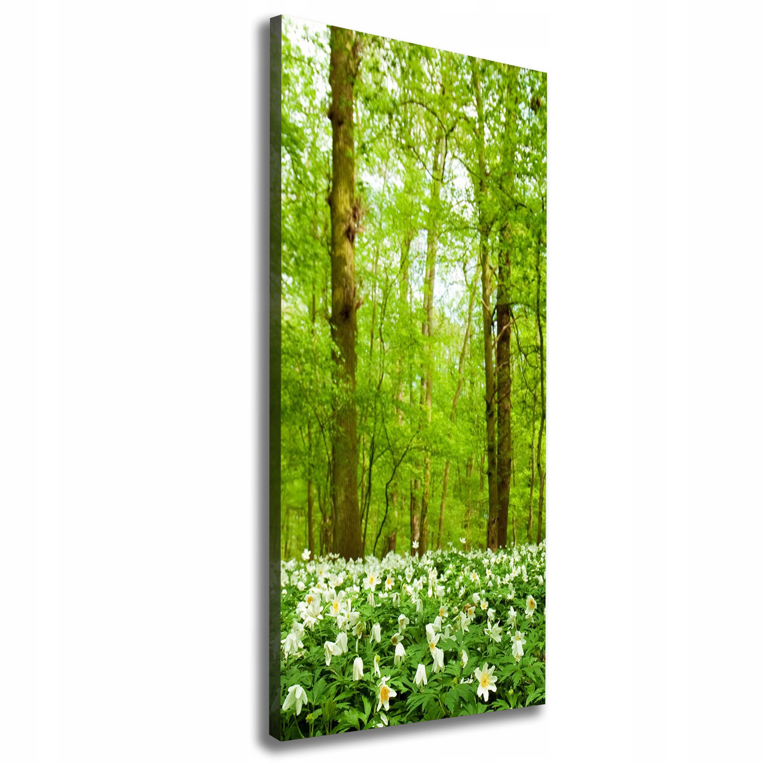 

Foto obraz na płótnie Kwiaty w lesie 50x125 cm