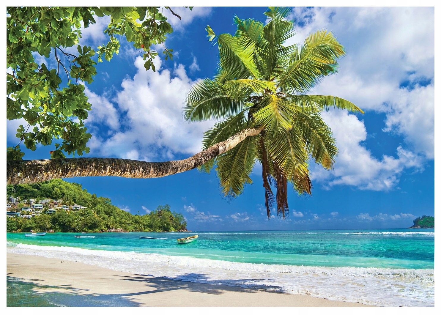 

Fototapeta Plaża Morze Palmy Krajobraz 3D 416x254