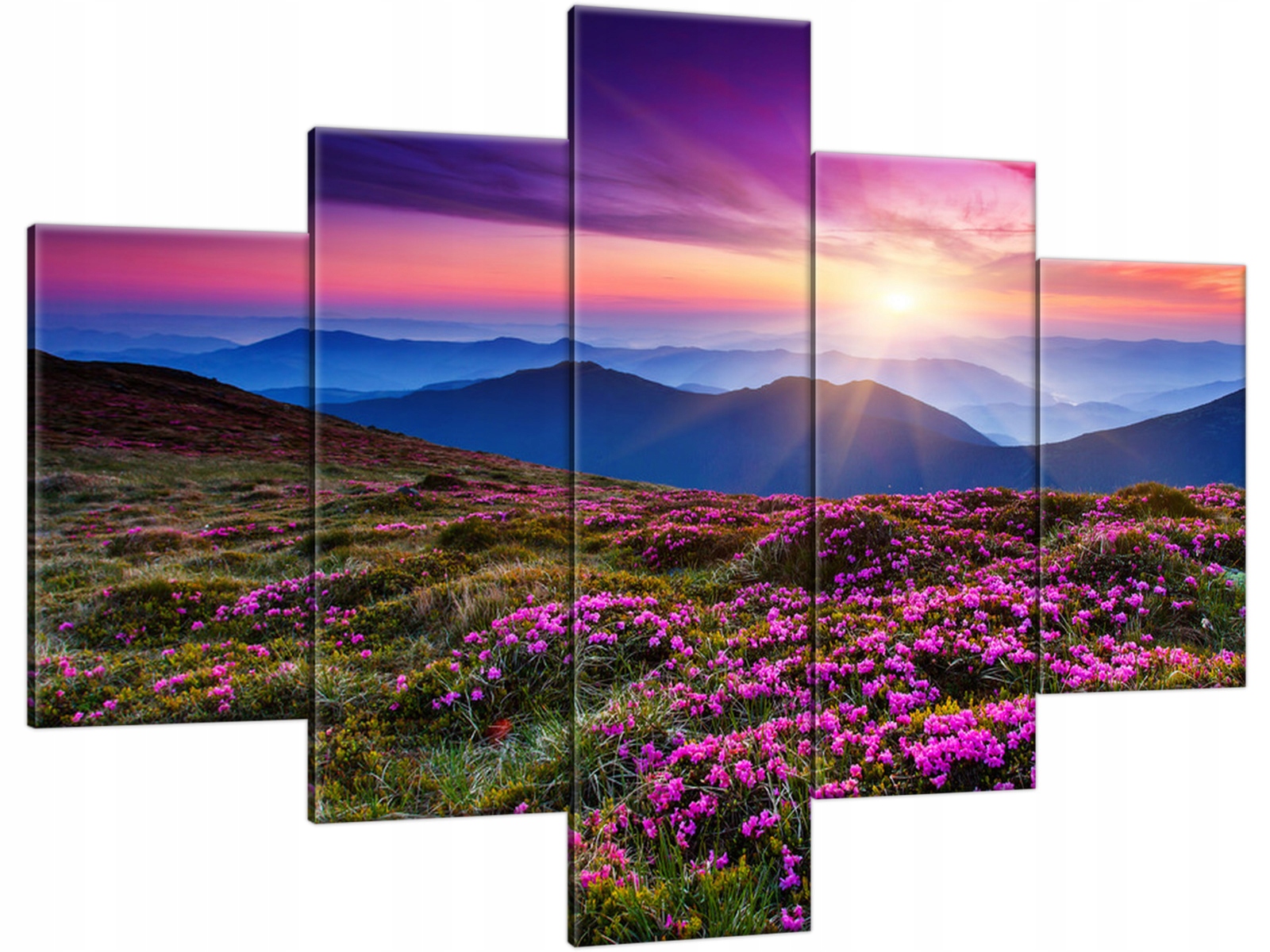 

Obraz Tryptyk 100x70 Góry Słońce Kwiaty Lawenda