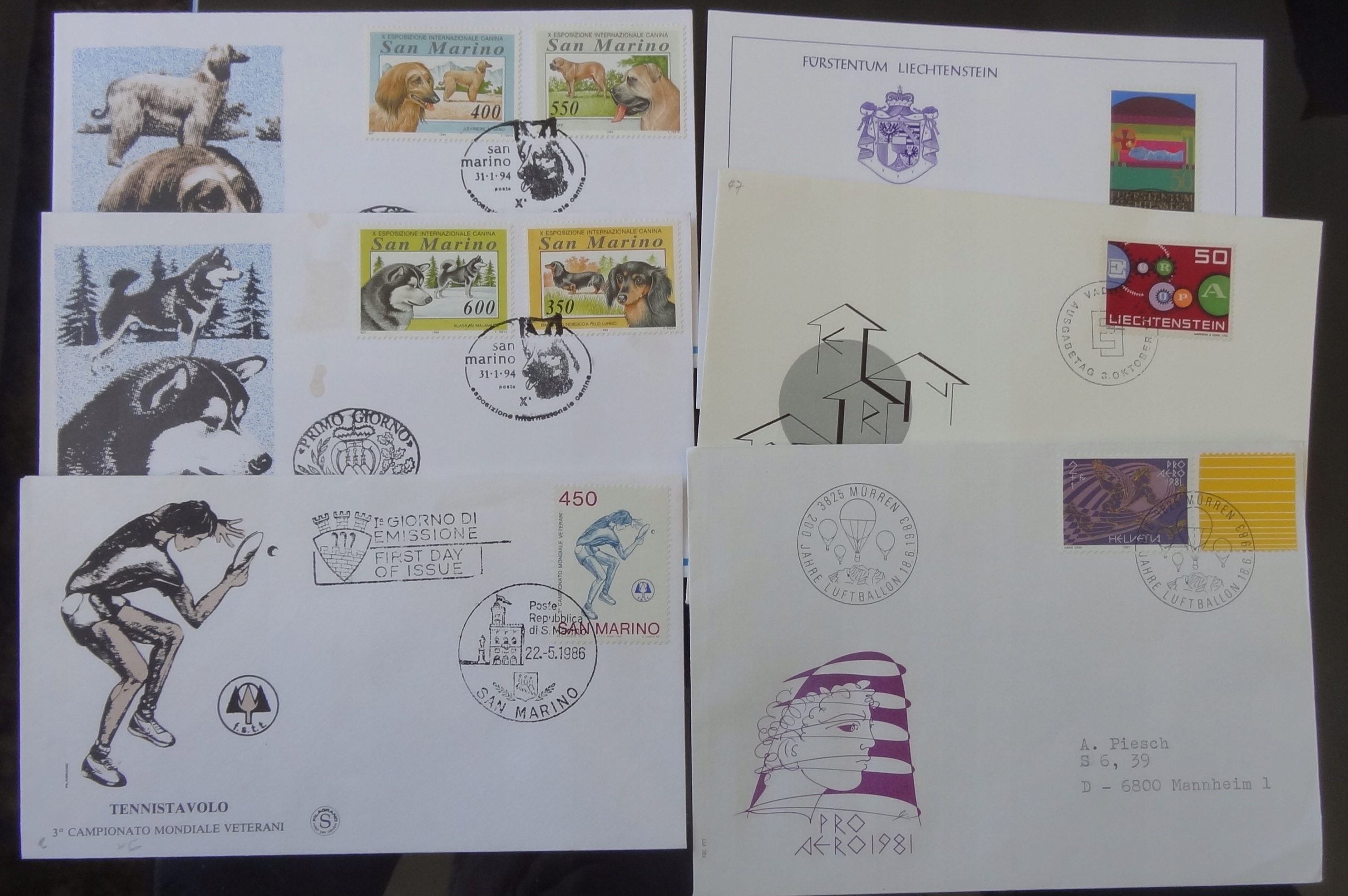 ZESTAWIK XXX XXX XXX