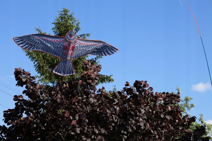 ODSTRASZACZ PTAKÓW ZWIERZĄT LATAWIEC OGRODOWY OGROMNY + MASZT 4 METRY Rodzaj odstraszacz