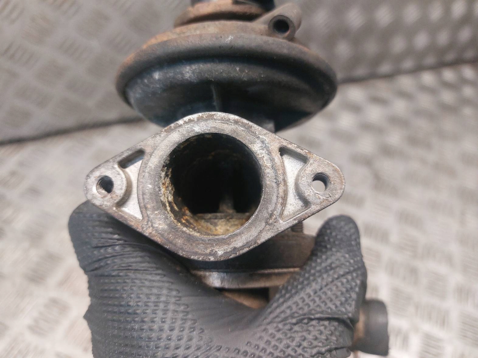 Kühler Gase EGR+ Sensor FORD TRANSIT V 2.0 DI 1C1Q-9F464-AD