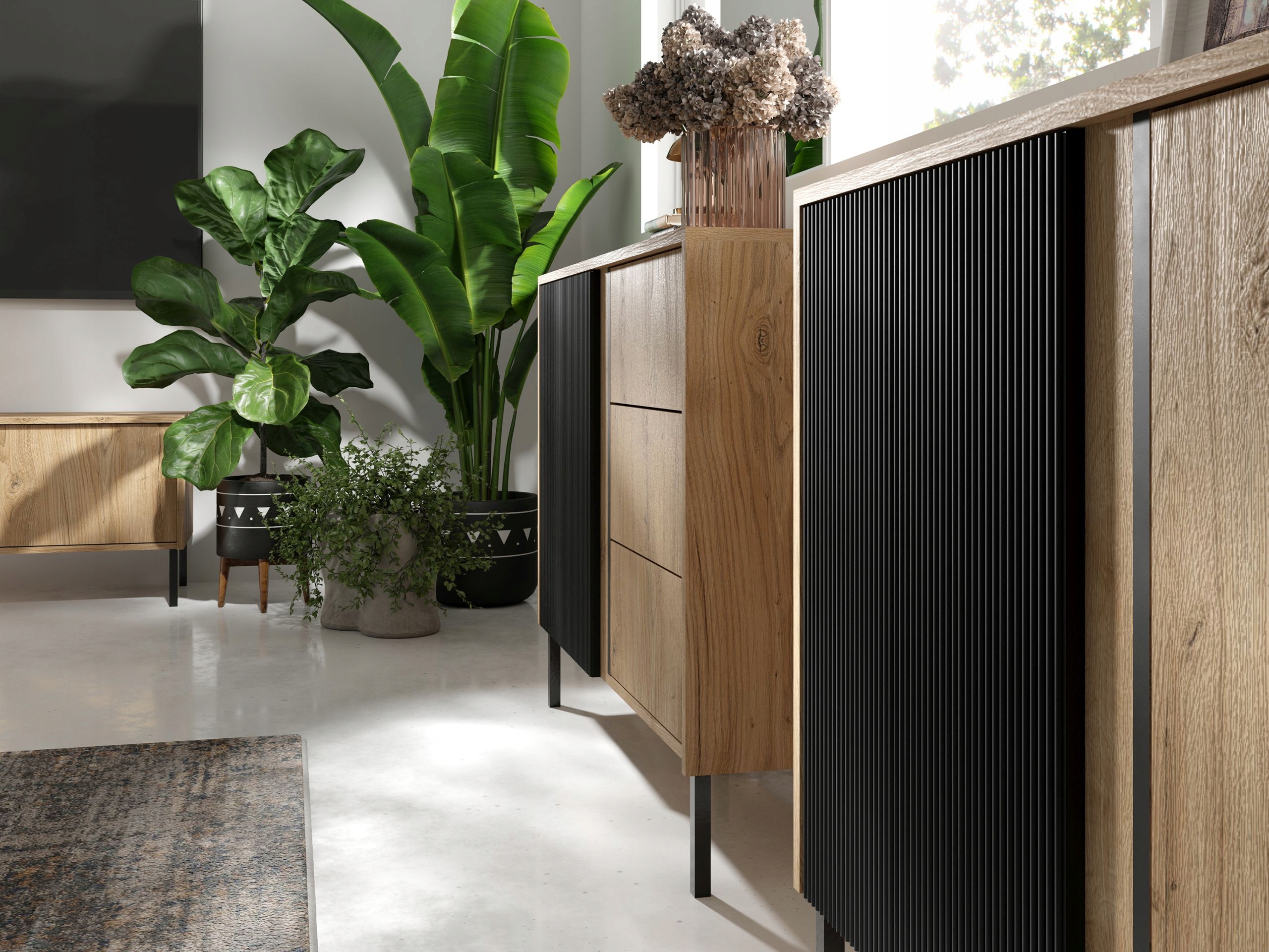 Szafka RTV MIA 7, RTV 120cm, Dąb Odwieczny / Czarny Marka KING-Meble