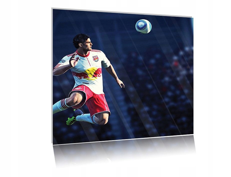 

Obraz szklany na szkle Fifa 02 50x50