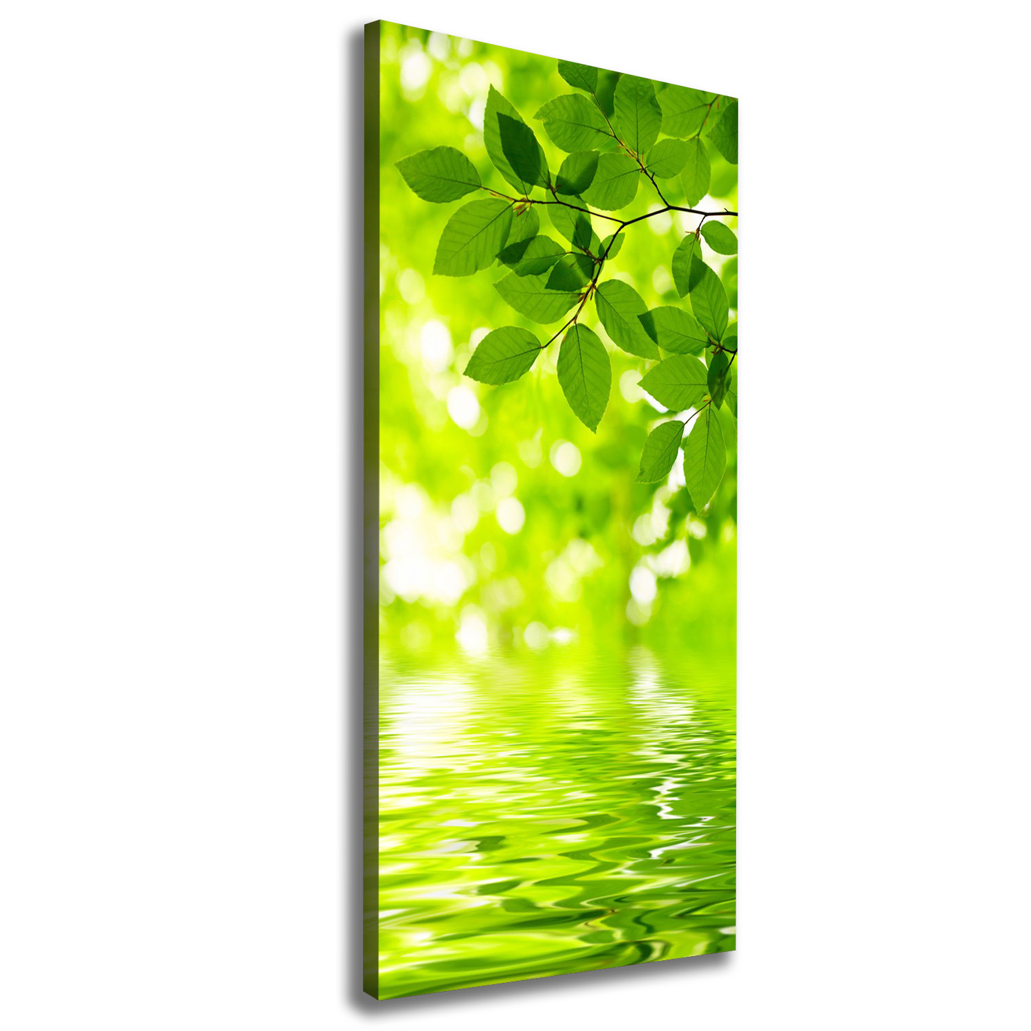 

Foto obraz na płótnie Zielone liście 50x125 cm