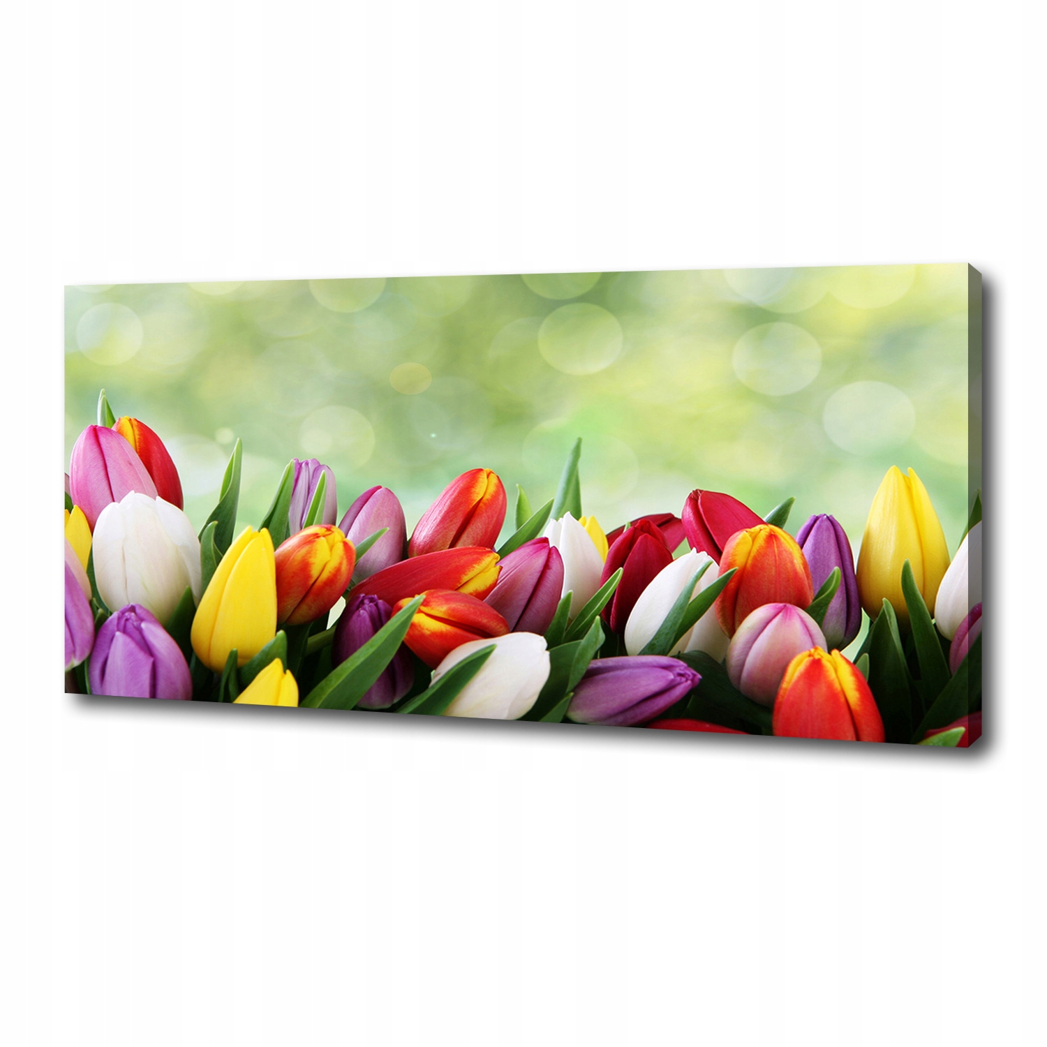 Fotoobraz obraz na plátně Barevné tulipány 125 x 50 cm