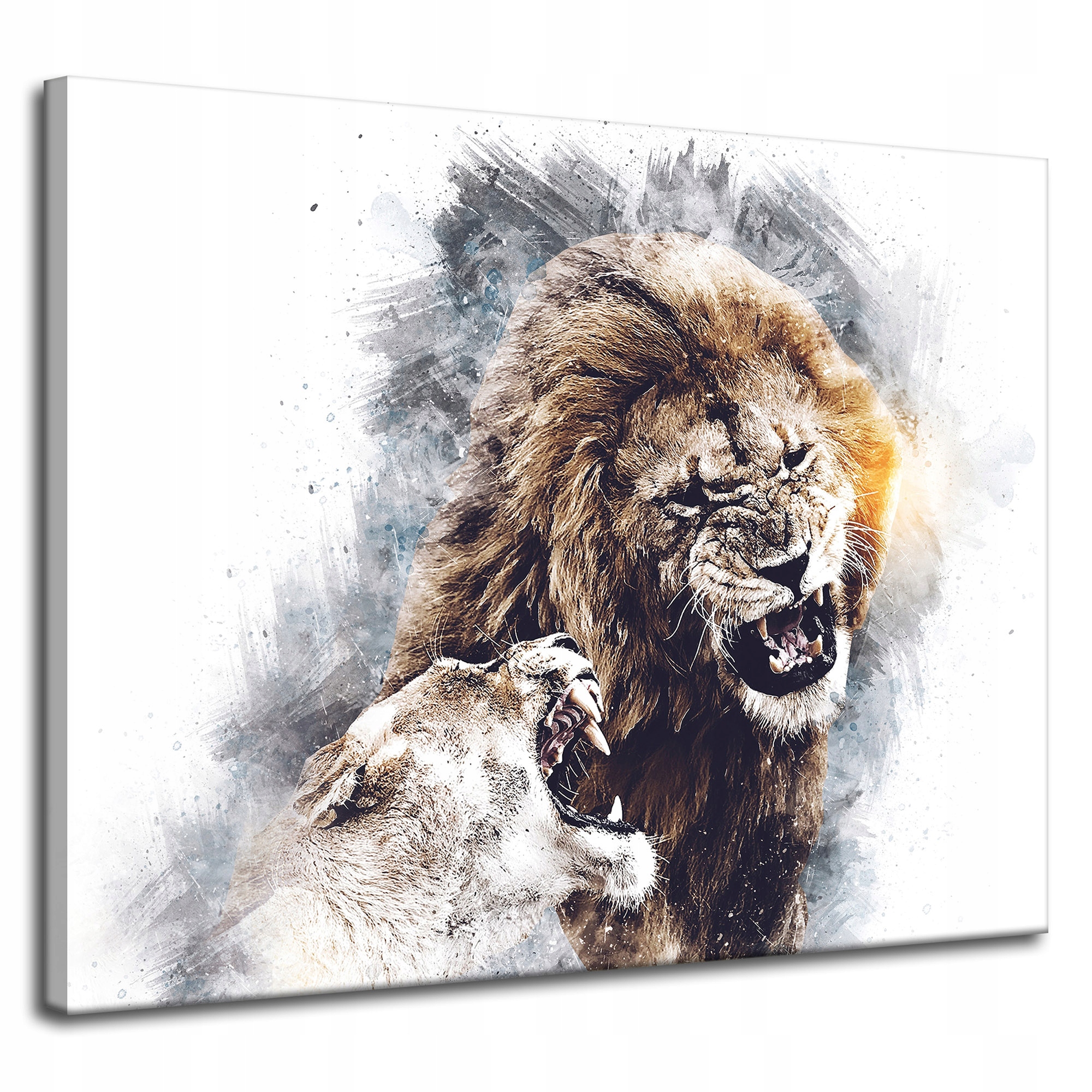 Obraz na plátně Ryk Lvů Hrozivý Pár Příroda 100x80 cm Ideální jako dárek