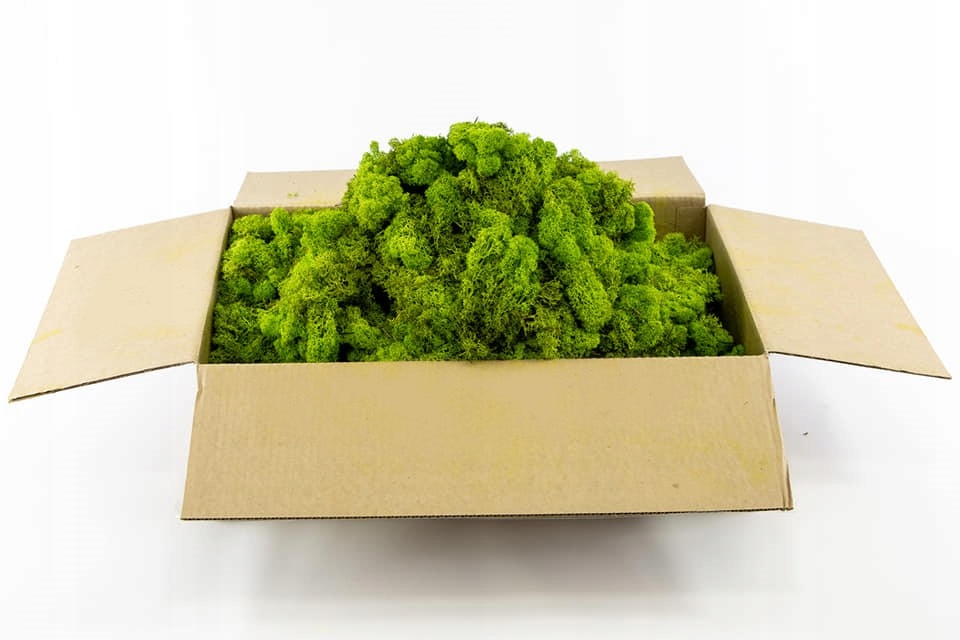 MECH CHROBOTEK 5 KG Jasnozielony Reniferowy