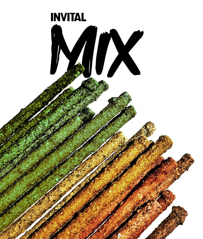 INVITAL Shrimp Lollies Mix 2 g
