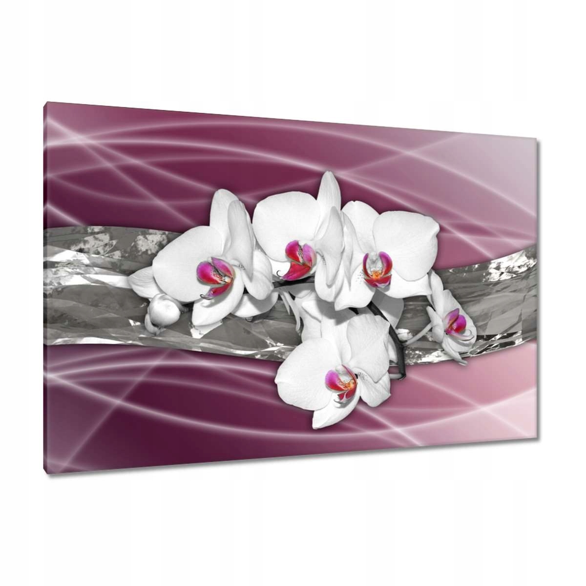 Obrazy 120x80 Orchideje