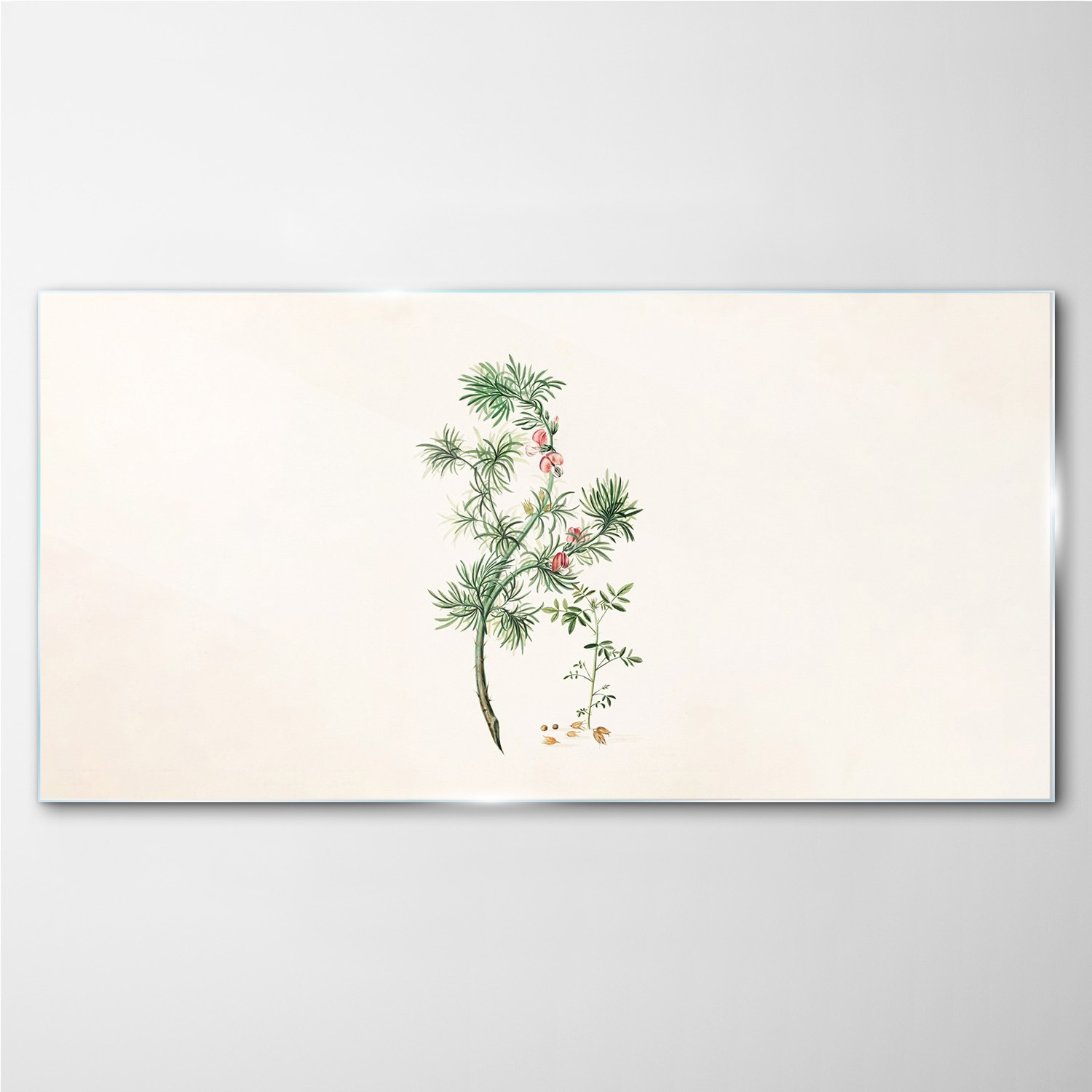 

Szklany obraz na ścianę Oddział roślin 100x50 cm