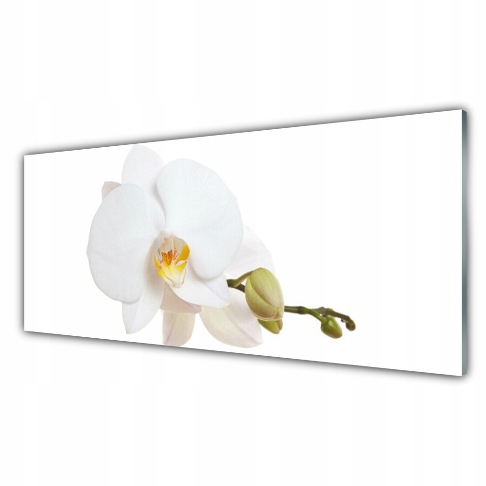 

Obraz akryl na prezent 125x50 Kwiat Roślina Natura