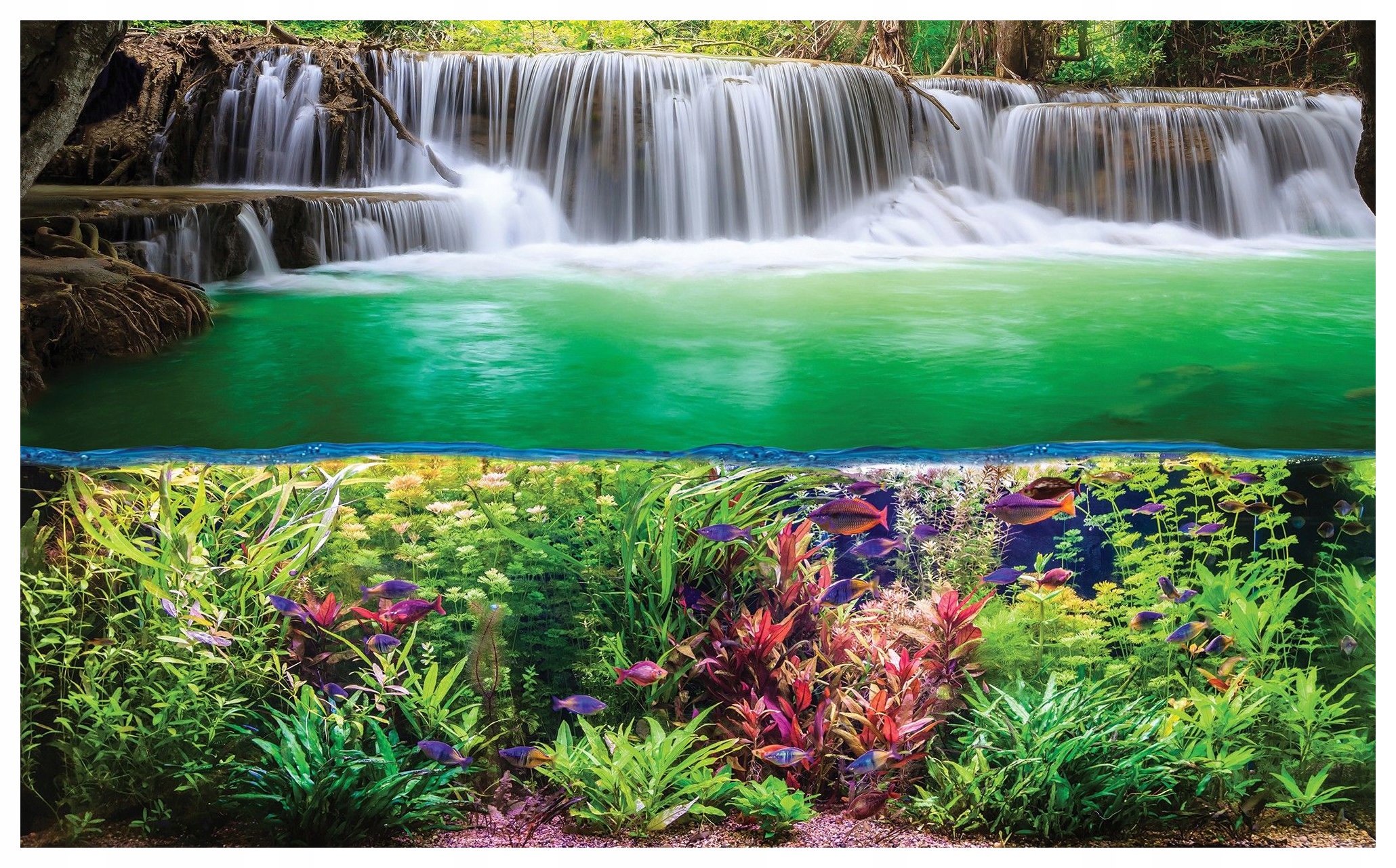 Fototapeta Vodopád Akvárium vinylová 368x254 Zelený raj v dome lepidlo