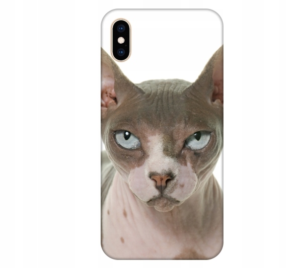 

Etui na telefon iPhone X / Xs Kot sfinks kotek