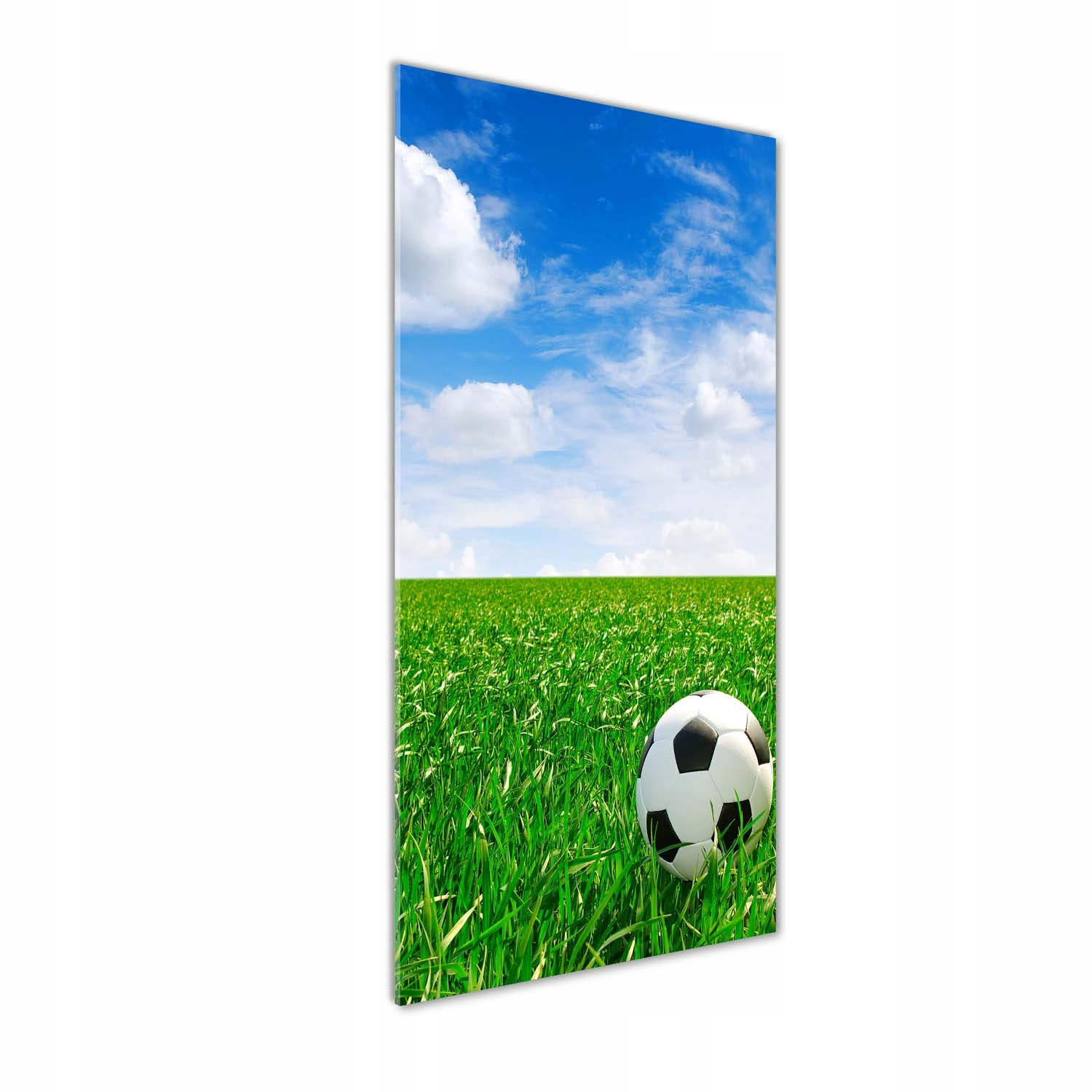 

Foto obraz na szkle Piłka nożna na łące 50x125 cm