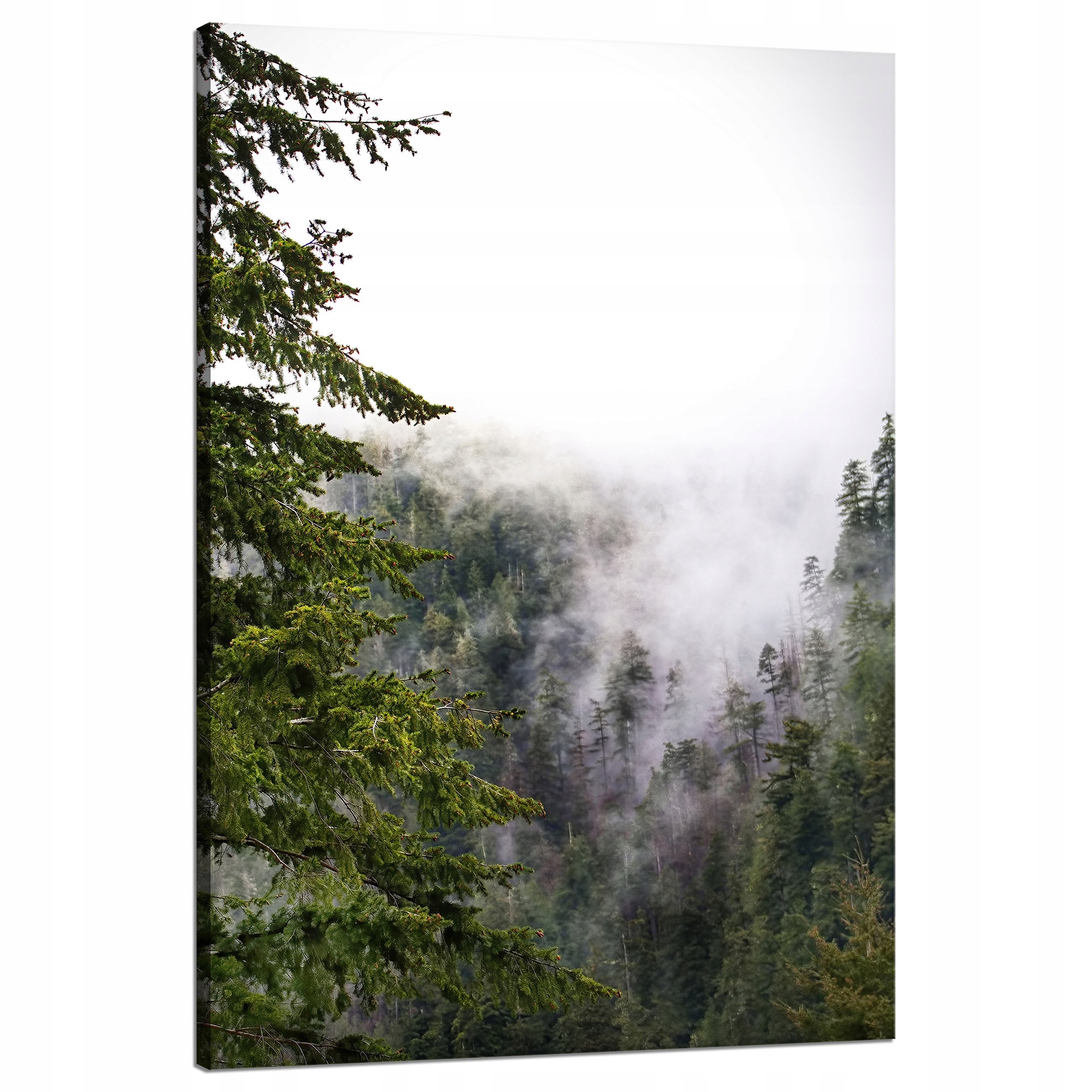 Obraz Canvas Příroda Hory mlha les 80x120 cm
