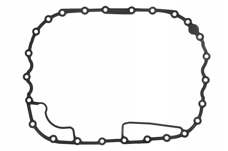 Těsnění Převodovky Zf Traxon