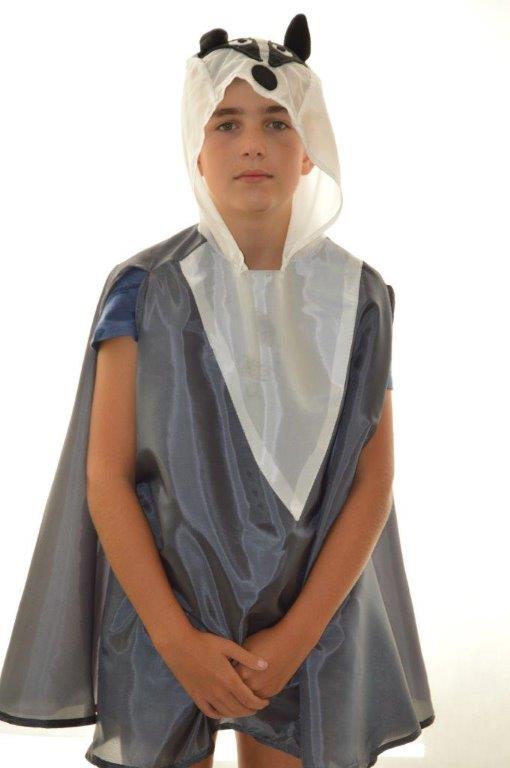 Borsuk strój borsuka przebranie borsuk Marka inna marka