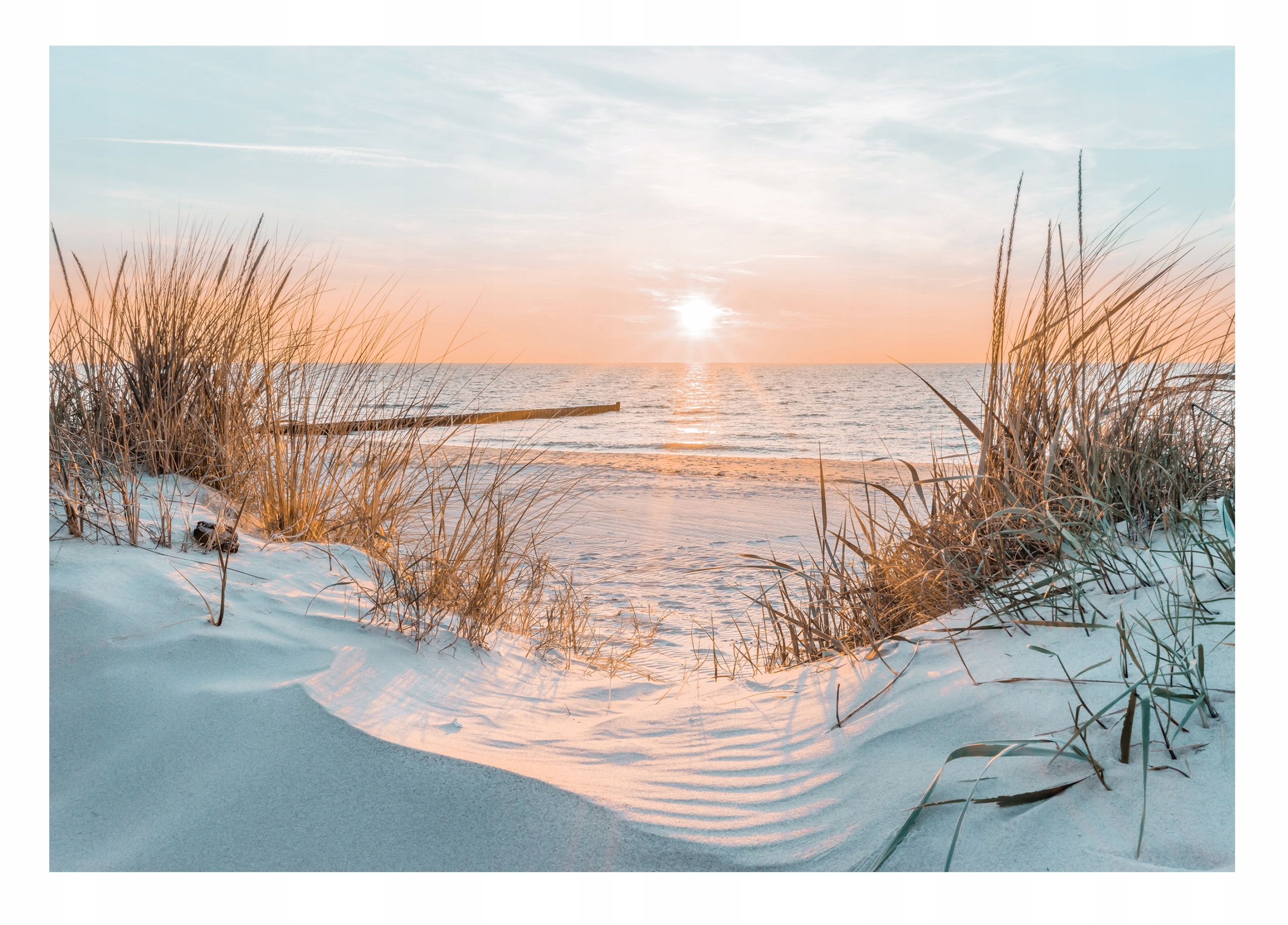 Fototapeta Baltské Moře Pláž Na Flizelině Stěna Příroda Oceán 416x254