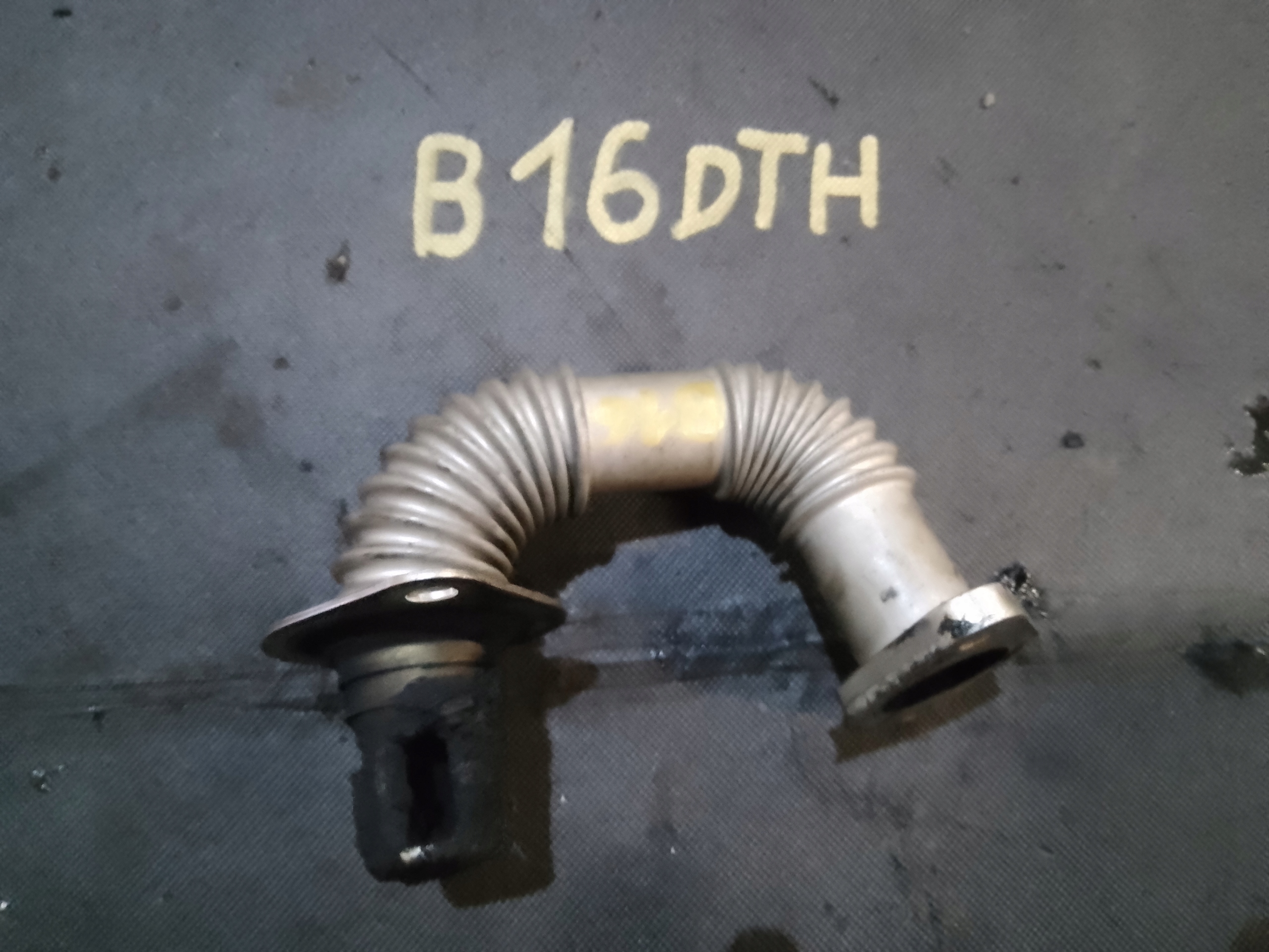 wiring hose EGR ASTRA J 1.6 CDTI 55574012